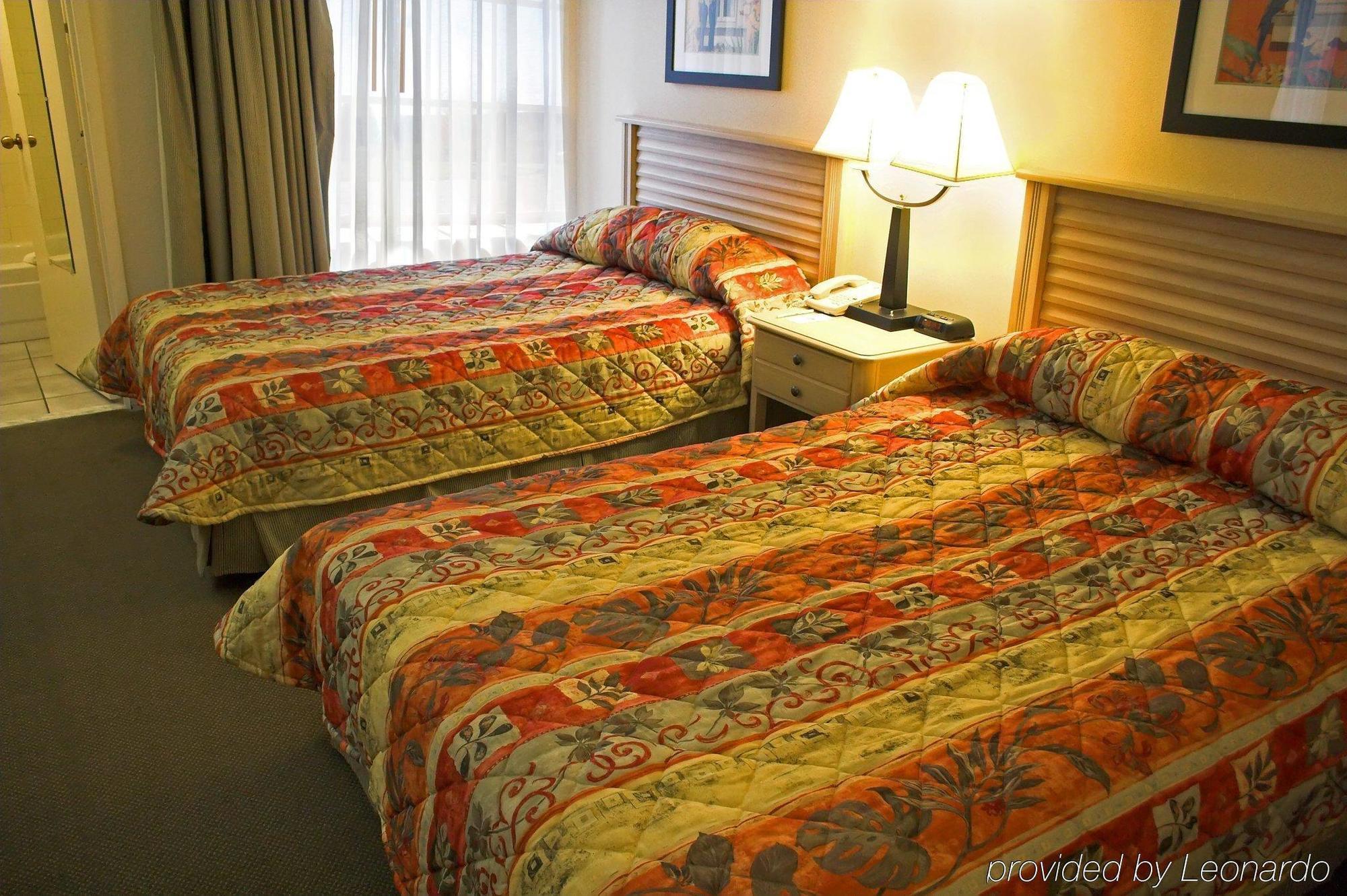 Baymont By Wyndham Tampa Near Busch Gardens Hotel Cameră foto