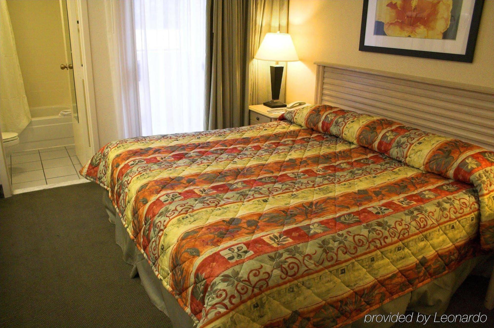 Baymont By Wyndham Tampa Near Busch Gardens Hotel Cameră foto